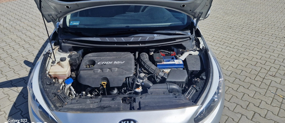 Kia Ceed cena 24900 przebieg: 275230, rok produkcji 2013 z Piwniczna-Zdrój małe 37